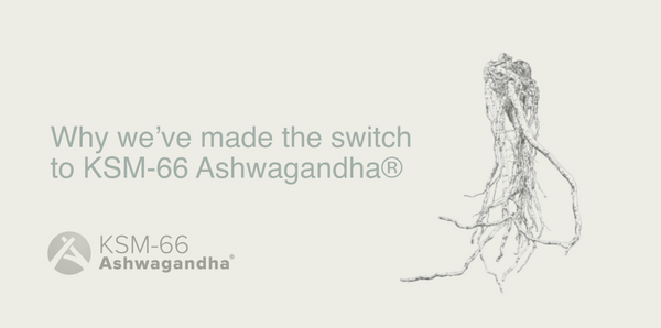 Why we’ve made the switch to KSM-66 Ashwaganda.