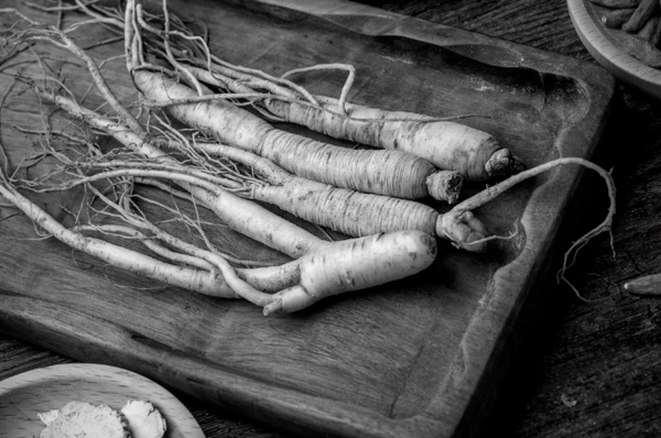 Conquering the Mental Marathon: Can Panax Ginseng Be Your Secret Weapon?